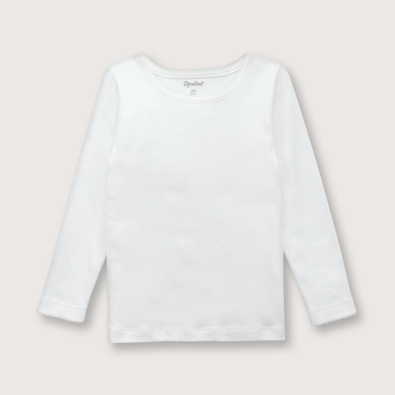 cmpu0110i23-2