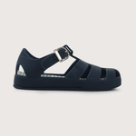 43210850v25-2