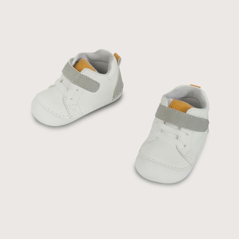 27070210v26-4