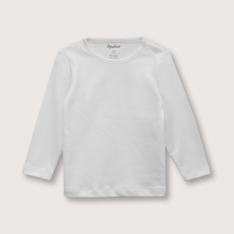 cmpu0110i22-2