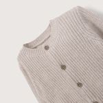 chla0306v26-4