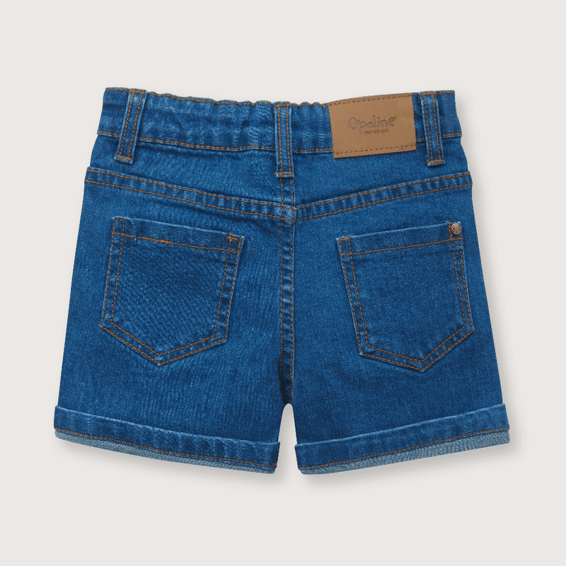 shme3550v24-2