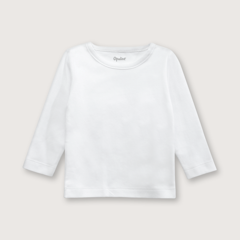 cmpu0110i24-2