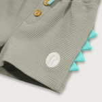 coje7392v25-4