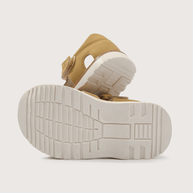 43110223v25-3