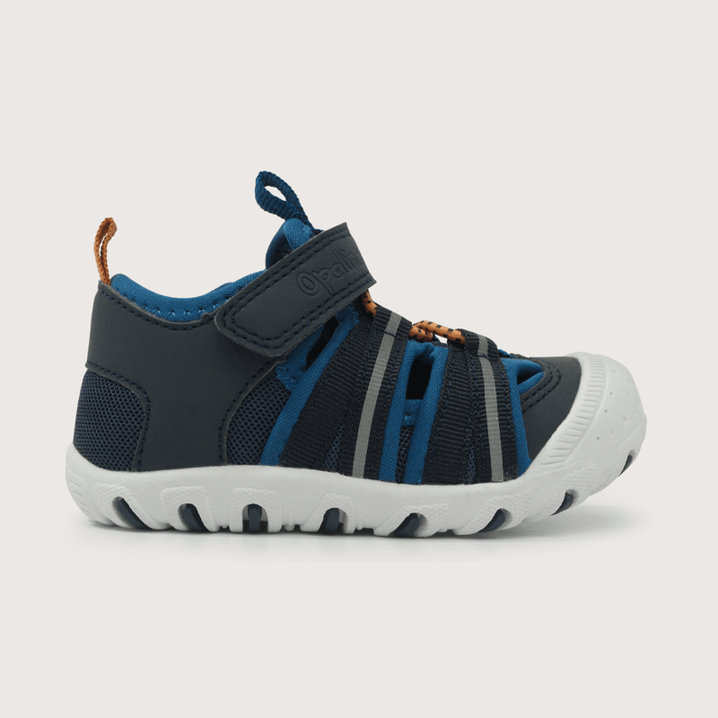 43130350v25-2