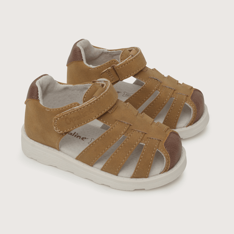 33070260v24-1