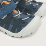 43190350v24-6