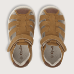 33070260v24-4