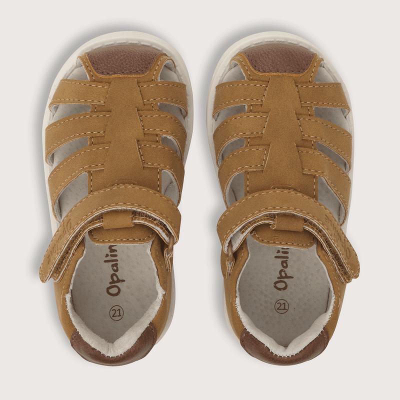 33070260v24-4