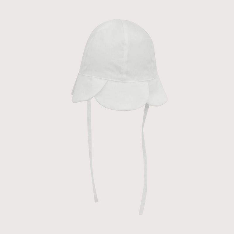 gopn0210v26-1