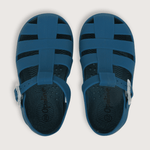 43271050v23-4
