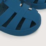 43271050v23-5