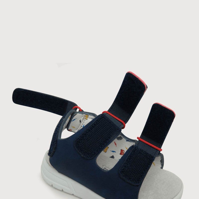43710250v23-5