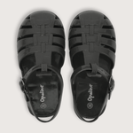 43071011v23-4