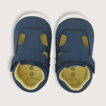 23090250v23-4