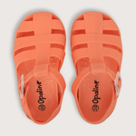 43261030v23-4