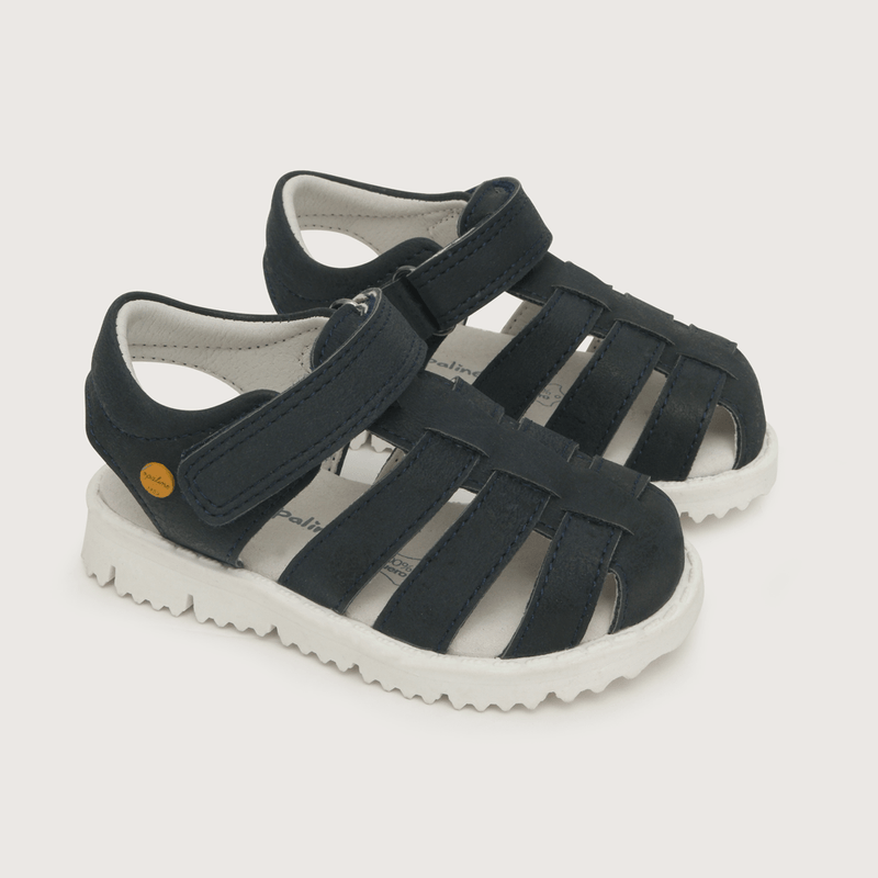 43310250v23-1
