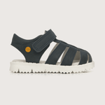 43310250v23-2
