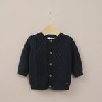 p-chla0550s27-1
